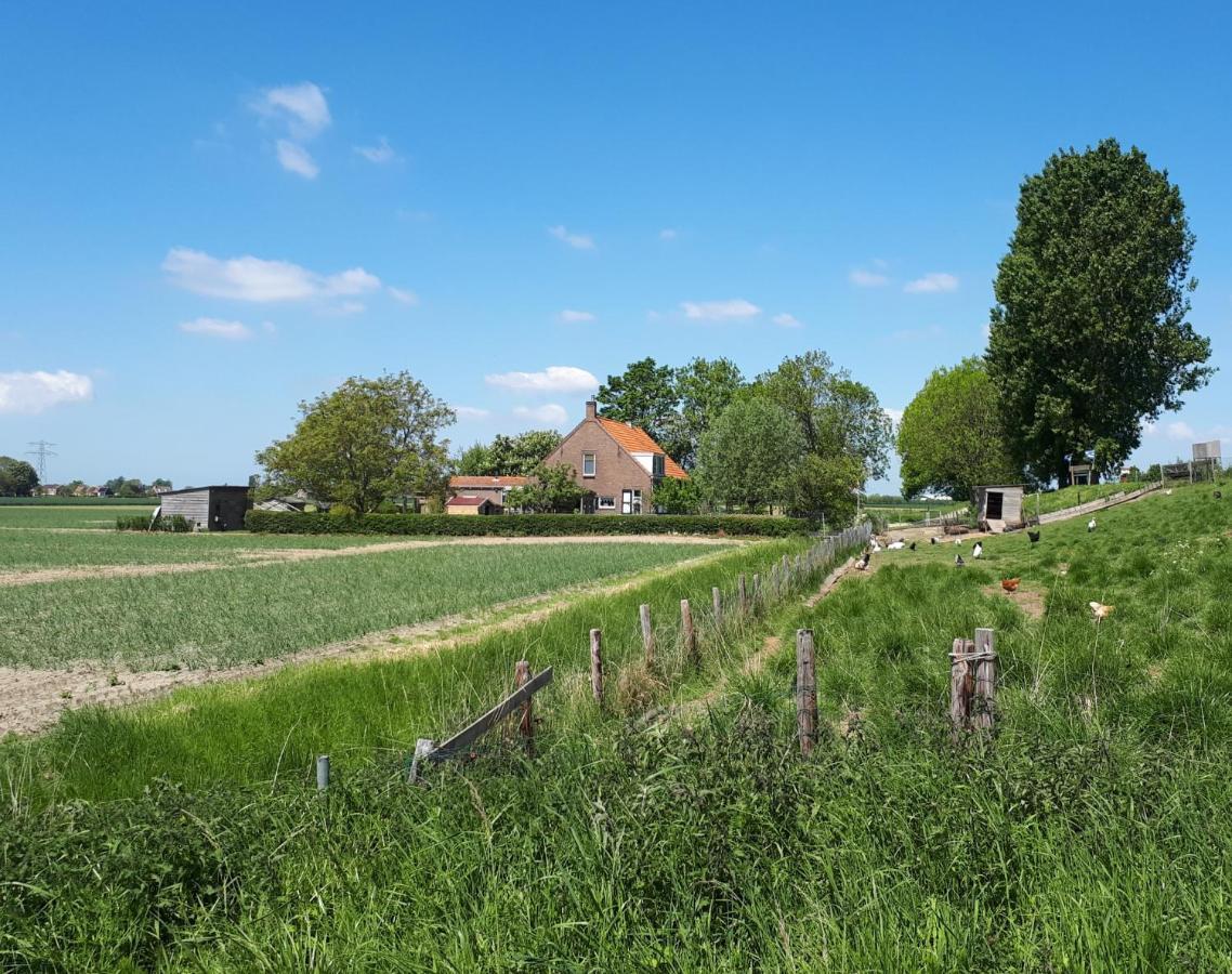 “In Oans Oefje” Parel In De Polder! Apartment Lewedorp Екстериор снимка