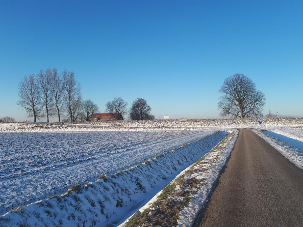 “In Oans Oefje” Parel In De Polder! Apartment Lewedorp Екстериор снимка