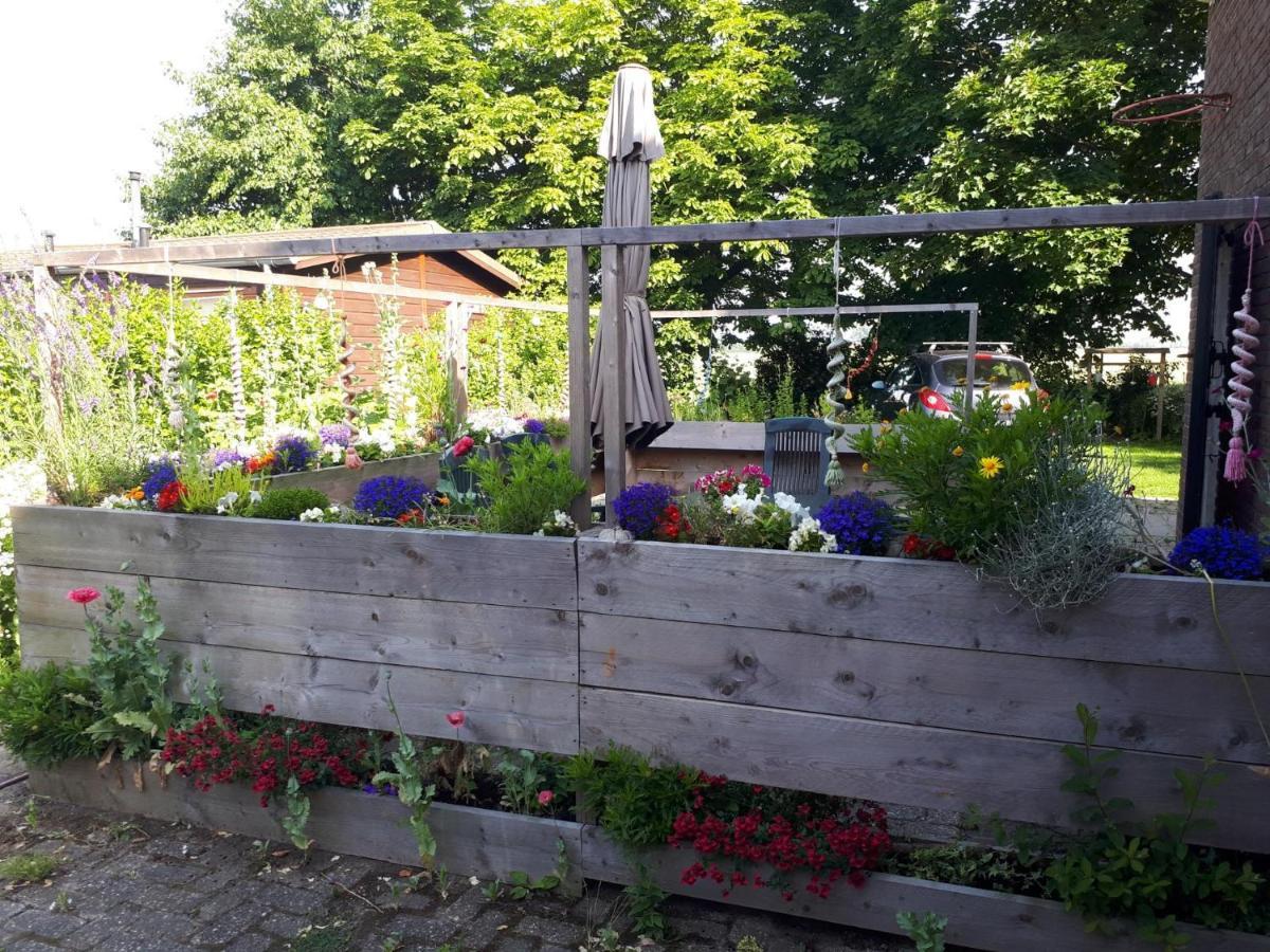 “In Oans Oefje” Parel In De Polder! Apartment Lewedorp Екстериор снимка