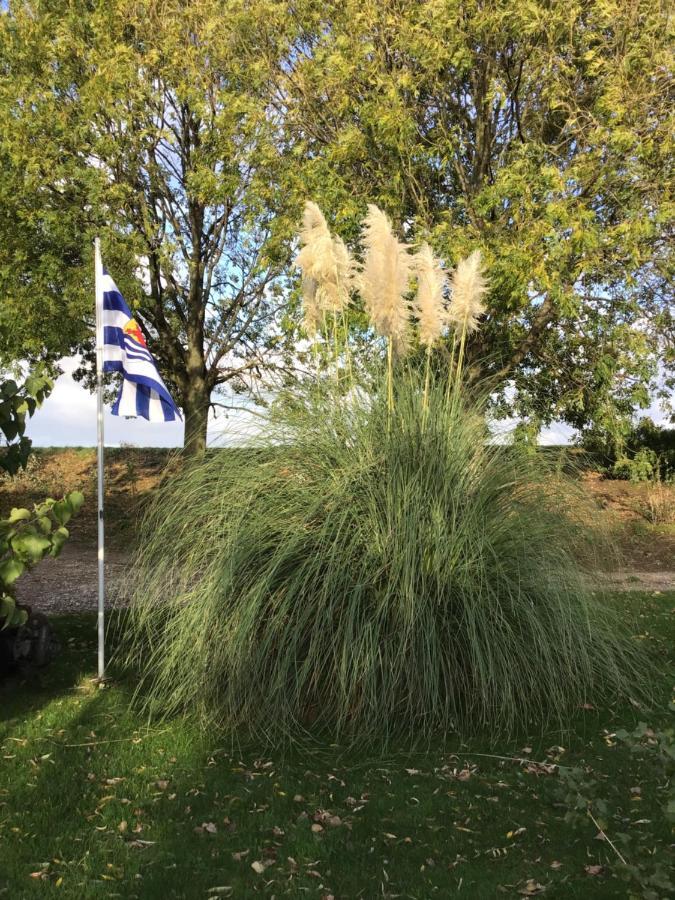 “In Oans Oefje” Parel In De Polder! Apartment Lewedorp Екстериор снимка