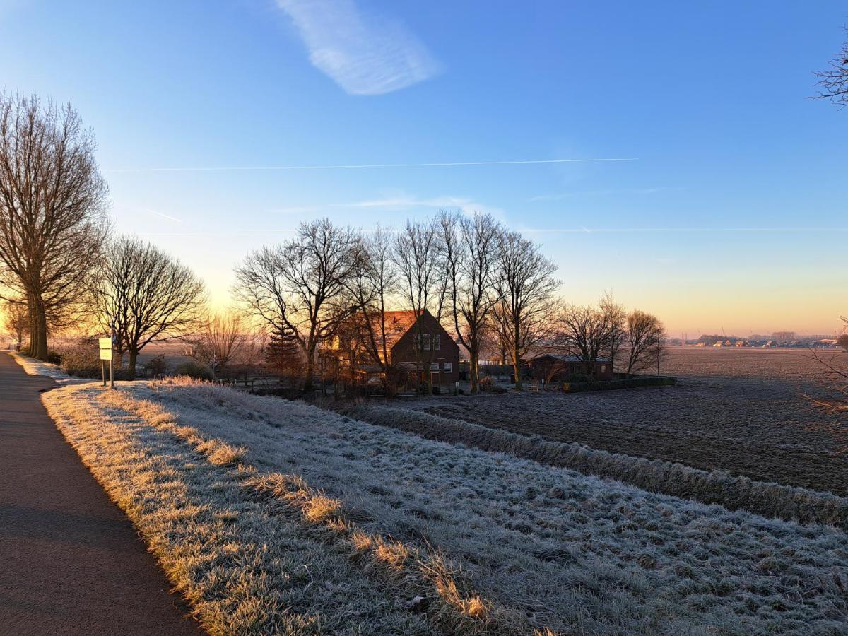 “In Oans Oefje” Parel In De Polder! Apartment Lewedorp Екстериор снимка